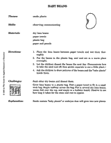Baby Beans